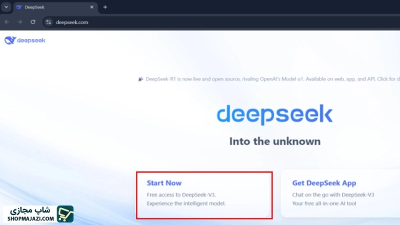 ورود به صفحه اصلی سایت deepseek | شاپ مجازی